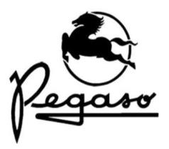 Pegaso  Pegaso Camiones