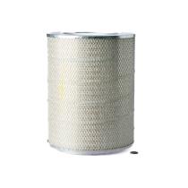  P181056 - FILTRO AIRE