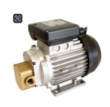 Bombas y control de Fluidos 03000 - BOMBA TRASVASE ACEITE 220V 0.5HP 0.37KW