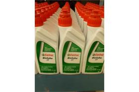 Castrol 1519AF - BIOLUBE 2T 1 LITRO ESPECIAL 2 TIEMPOS NAUTICA BIODEGRADABLE