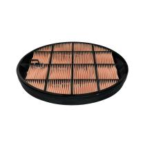 Donaldson P631511 - AIR SAFETY