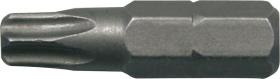 Egamaster Art in innovation 66683 - BLISTER DE 10 PUNTAS TAMPER TORX TT-10  25 MM MASTERBIT